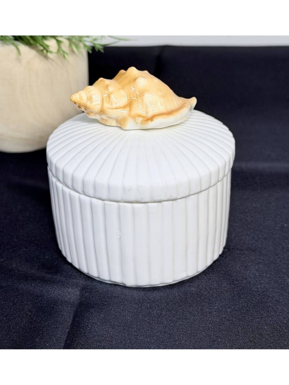 Vintage Beachcombers Genuine Bone China White Round Trinket Box Sea Shell